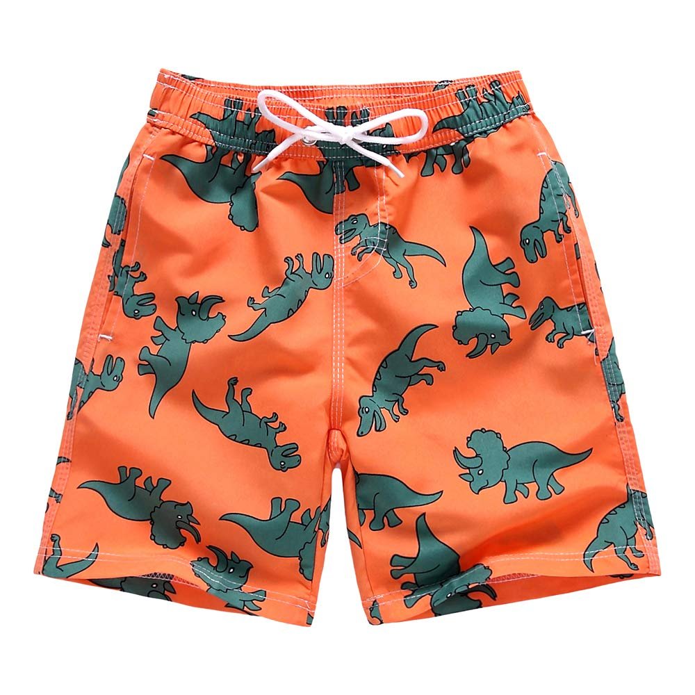techcity Boys Swim Trunks, Quick Dry Beach Swim Shorts Little Boys Bathing Suit Swimsuit Toddler Boy Swimwear with Mesh Lining, 3-14 Years (9-10 Years, Dinosaur)