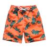 techcity Boys Swim Trunks, Quick Dry Beach Swim Shorts Little Boys Bathing Suit Swimsuit Toddler Boy Swimwear with Mesh Lining, 3-14 Years (9-10 Years, Dinosaur) view 1