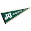 Jacksonville Dolphins Pennant view 1