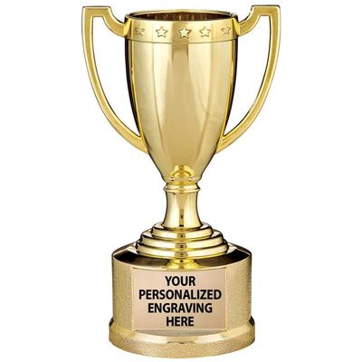 Crown Awards Gold Trophy Cup, 5 1/2" Shiny Gold Award Trophy Cups, Great for Custom Trophy Keepsake, Free Engraving, 12 Pack