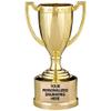 Crown Awards Gold Trophy Cup, 5 1/2" Shiny Gold Award Trophy Cups, Great for Custom Trophy Keepsake, Free Engraving, 12 Pack view 1