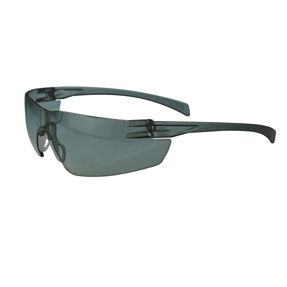 Radians SE1-21 Safety Glasses