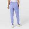 WonderWink W123 Womens Comfort Waist Cargo Jogger Pant  Ceil Blue, X-LTall view 4