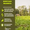 Boonetown Seed Company - Boneyard Brassica Deer Food Plot Seeds, 3 LB Bag 1/3 Acre Coverage, Food Plot Seed Mix of Daikon Radish, Purple Top and Barkant Turnip, Pasja Forage Hybrid, Rape view 2