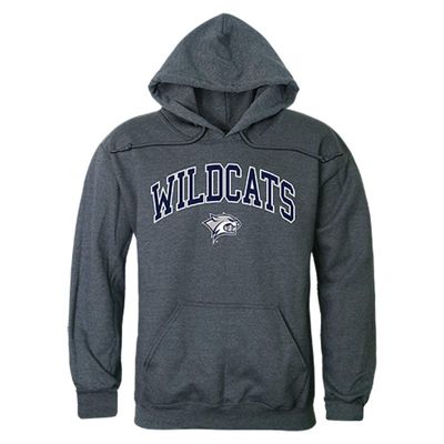 NH New Hampshire Wildcats NCAA Campus Pullover Hoodie - Medium, Heather Charcoal