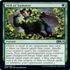 Magic: The Gathering - Veil of Summer - Core Set 2020 view 1