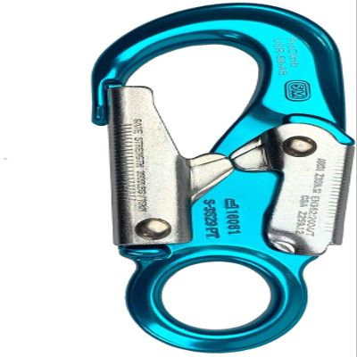 ProClimb Forged Aluminum Carabiner with Captive Eye, Blue