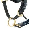 Rambo Micklem Leather Halter Pony Black view 3