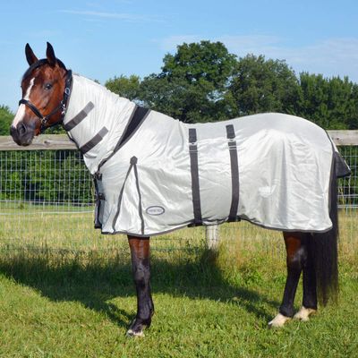Country Pride Deluxe Mesh Fly Sheet, Full-Coverage Horse Fly Protection, Belly Band, Attached Neck Cover, Shoulder Gussets, Tail Cover, Adjustable Fit, Grey with Silver Trim (64 in)