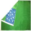 AES American Wholesale Superstore 3x5 Green Mountain Boys 3'x5' Premium Quality 100D Polyester Flag (RUF) view 2