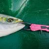 Belmont Metal Fish Grip RD MR-005 view 4