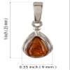 Amber Jewelry for Women - Sterling Silver Baltic Honey Amber Pear-Shaped Pendant Necklace, Includes 18 Inch 925 Sterling Silver Chain, Made in Poland view 2