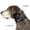 Dog Collar Plastic Clip 1967 Impala 396 Turbo Jet V Emblem Stripe Black 9 to 15 Inches 0.5 Inch Wide view 2