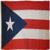 AES American Wholesale Superstore 3x5 Puerto Rico Rican Dark Blue 3'x5' Rough Tex 100D Oxford Polyester Flag view 1