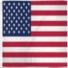 AES American Wholesale 3x5 USA 50 Stars American UltraBreeze 5x3ft Poly Flag Grommets Super Polyester view 1