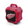 NHL Detroit Red Wings ShockBox LED Wireless Bluetooth Speaker, Team Color view 1