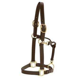 Dover Saddlery Palermo Halter, COB-C/S, Chocolate