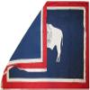 AES American Wholesale Superstore 3x5 State of Wyoming 3'x5' Rough Tex 100D Oxford Polyester Premium Quality Flag view 2