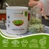 Ready Harvest Freeze Dried Food - Green Beans | Emergency Food | Camping Vegetables | #10 Can | 25-Year Shelf Life | Cans Filled to the Top view 2