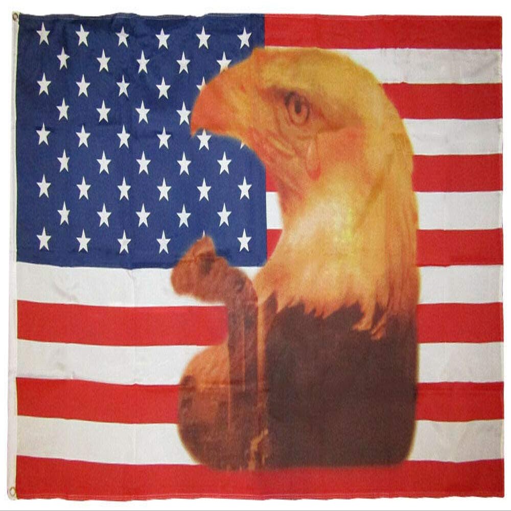 AES American Wholesale 3x5 USA 50 Star Eagle with Tears 3'x5' Premium Quality Heavy Duty Polyester Flag