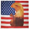 AES American Wholesale 3x5 USA 50 Star Eagle with Tears 3'x5' Premium Quality Heavy Duty Polyester Flag view 1