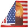 AES American Wholesale 3x5 USA 50 Star Eagle with Tears 3'x5' Premium Quality Heavy Duty Polyester Flag view 2