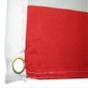 AES American Wholesale 3x5 USA 50 Star Eagle with Tears 3'x5' Premium Quality Heavy Duty Polyester Flag view 3