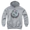 Trevco 90210 Wbhh Unisex Youth Pull-Over Hoodie for Boys and Girls, Large Athletic Heather view 1