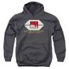 Star Trek Cochrane Library Unisex Youth Pull-Over Hoodie for Boys and Girls, Large Charcoal view 1