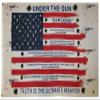 AES American Wholesale 3x5 USA Under The Gun Truth is The Ultimate Weapon 3'x5' Premium Polyester Flag