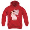 Trevco Frasier Eddie Unisex Youth Pull-Over Hoodie for Boys and Girls, X-Large Red view 1