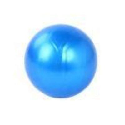 Steve Spencer Exercise Ball Gym Pilates Balance Fitness Air Pump Anti-Burst