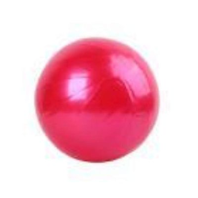 Steve Spencer Exercise Ball Gym Pilates Balance Fitness Air Pump Anti-Burst