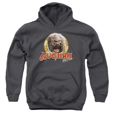 Trevco Dark Crystal Aughra Circle Unisex Youth Pull-Over Hoodie for Boys and Girls, Small Charcoal
