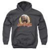 Trevco Dark Crystal Aughra Circle Unisex Youth Pull-Over Hoodie for Boys and Girls, Small Charcoal view 1