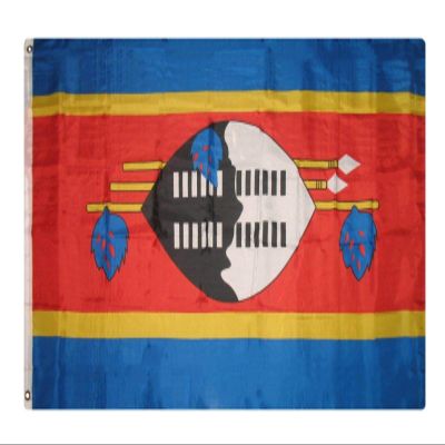 AES American Wholesale 3x5 Swaziland Polyester Premium Quality Flag 3'x5' Banner Grommets