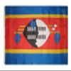 AES American Wholesale 3x5 Swaziland Polyester Premium Quality Flag 3'x5' Banner Grommets view 1