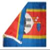 AES American Wholesale 3x5 Swaziland Polyester Premium Quality Flag 3'x5' Banner Grommets view 2
