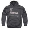Pink Floyd Arnold Layne Unisex Youth Pull-Over Hoodie for Boys and Girls, X-Large Charcoal view 1