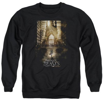 Fantastic Beasts Poster Unisex Adult Crewneck Sweatshirt for Men and Women, 2X-Large Black