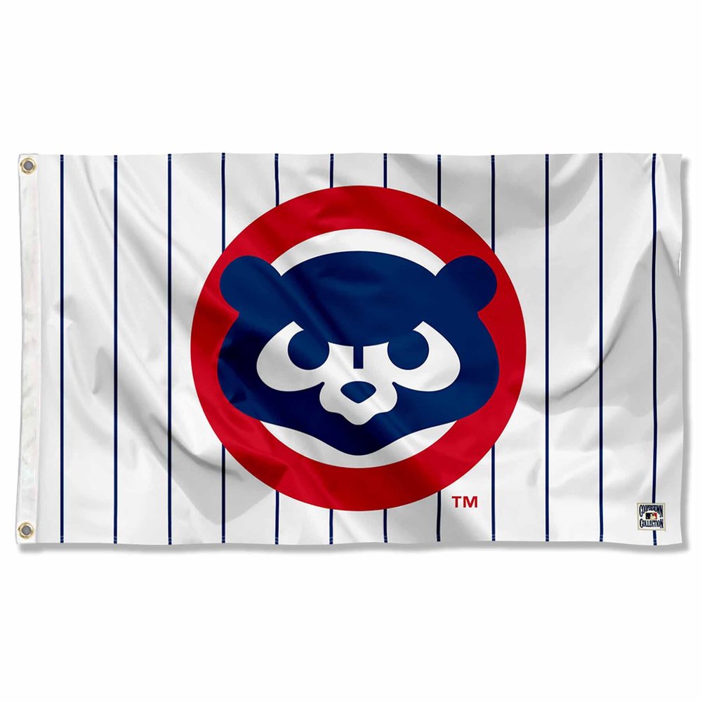 Chicago Baseball Vintage and Banner