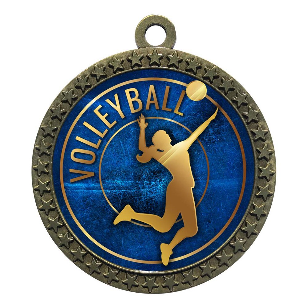2-1/2 Inch Die-Cast Metal Award Medallion with Antique Gold Finish and Attached 2 Inch Full Color Laminated Sport Insert.