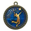 2-1/2 Inch Die-Cast Metal Award Medallion with Antique Gold Finish and Attached 2 Inch Full Color Laminated Sport Insert. view 1