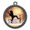 2-1/2 Inch Die-Cast Metal Award Medallion with Antique Silver Finish and Attached 2 Inch Full Color Laminated Sport Insert. view 1