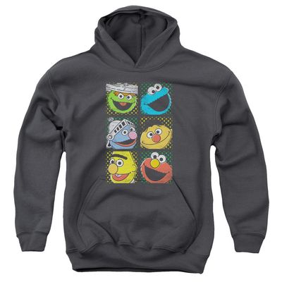 Sesame Street Group Squares Unisex Youth Pull-Over Hoodie for Boys and Girls, Medium Charcoal