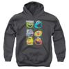 Sesame Street Group Squares Unisex Youth Pull-Over Hoodie for Boys and Girls, Medium Charcoal view 1