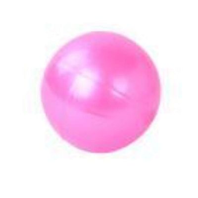 Steve Spencer Exercise Ball Gym Pilates Balance Fitness Air Pump Anti-Burst