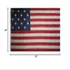 AES American Wholesale 3x5 American 15 Stars Star Spangled Premium Flag 3'x5' Banner Grommets Polyester view 3
