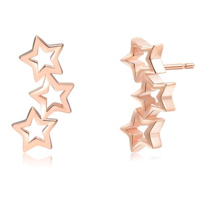 18K Gold Plated Sterling Silver North Star Stud Earrings Gold Earrings