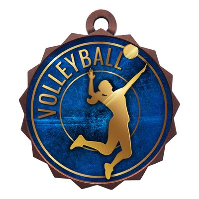 2-1/4 Inch Die-Cast Metal Award Medallion with Antique Bronze Finish and Attached 2 Inch Full Color Laminated Sport Insert.